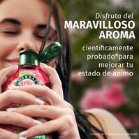 Champú Suavidad Rosas 350ml-227383 Champú Suavidad Rosas 350ml-227383 1